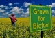 Завод по производству биотоплива